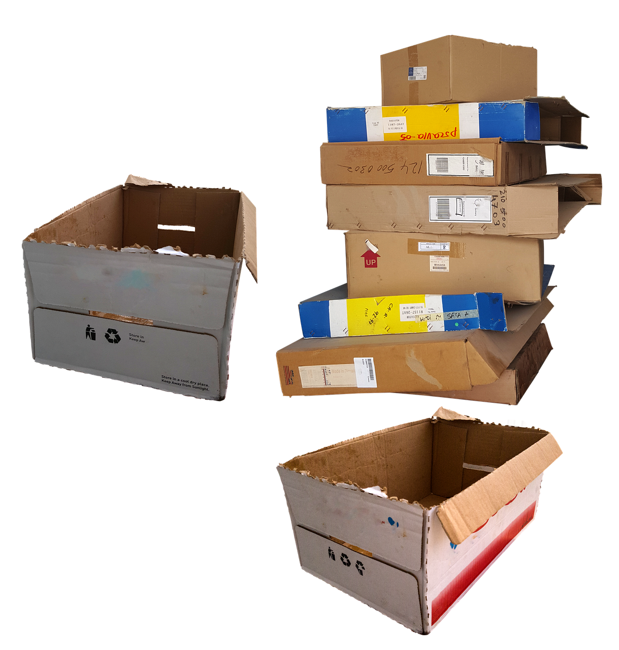 Relocation Relief: Why Choosing a Professional Moving Company Is Worth Every Penny